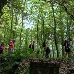 5 personnes marchent sur un pont en pierres ouvragées, au milieu de la forêt