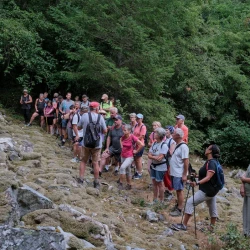 Un groupe de marcheurs sur un chemin en diagonale de la photo regardent un champ de pierres moussues situé sur la gauche. Sur l'autre partie, de la forêt.