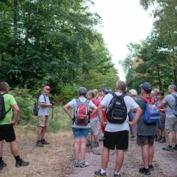 Un groupe de marcheurs en pause sur un chemin. De part et d'autre, de la forêt.