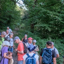 Des marcheurs en pause sur un chemin dans les bois