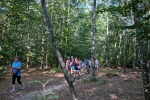 Des marcheuses dans un bois, des rayons de soleil sont visibles dans les arbres. Au 1er plan 2 minces troncs.
