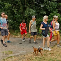 Un groupe de marcheureuses et un chien au 1er plan sur un chemin bordé d'arbres