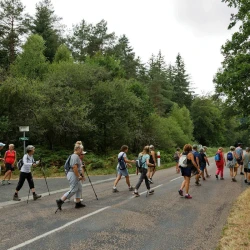 Des marcheurs traversent une route départementale, des arbres en arrière plan
