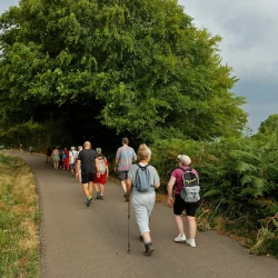 Des marcheurs de dos marche en direction d'un ciel bien sombre sur une petite route bordée à droite par des arbres.