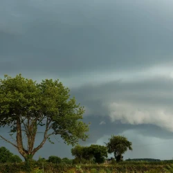 Des arbres au 1er plan, un ciel menaçant avec des nuages bas sombres