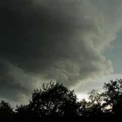 Des arbres au 1er plan, un ciel menaçant avec des nuages bas sombres