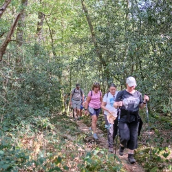Des marcheuses sur un chemin dans la forêt, les rayons du soleil passent à travers les feuilles.
