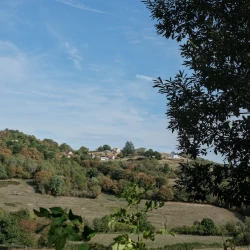Photo de paysage sous le soleil : une colline avec des parties boisées, quelques maisons, des prés. Au 1er plan à droite, les branches d'un arbre.
