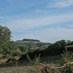 Photo de paysage sous le soleil : une colline au loin avec des parties boisées, quelques maisons en contrebas, des prés. Plus près un pré avec des arbres. Au 1er plan, le haut d'une haie.