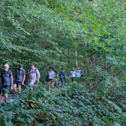 Des marcheurs sur un chemin dans la forêt, derrière les feuilles.